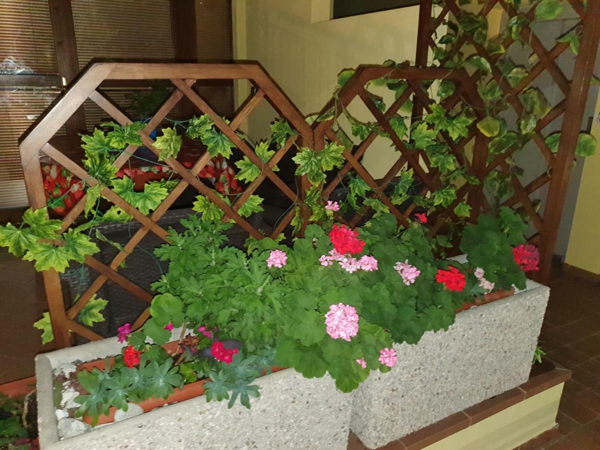 Garda Felice Appartement Desenzano del Garda Buitenkant foto