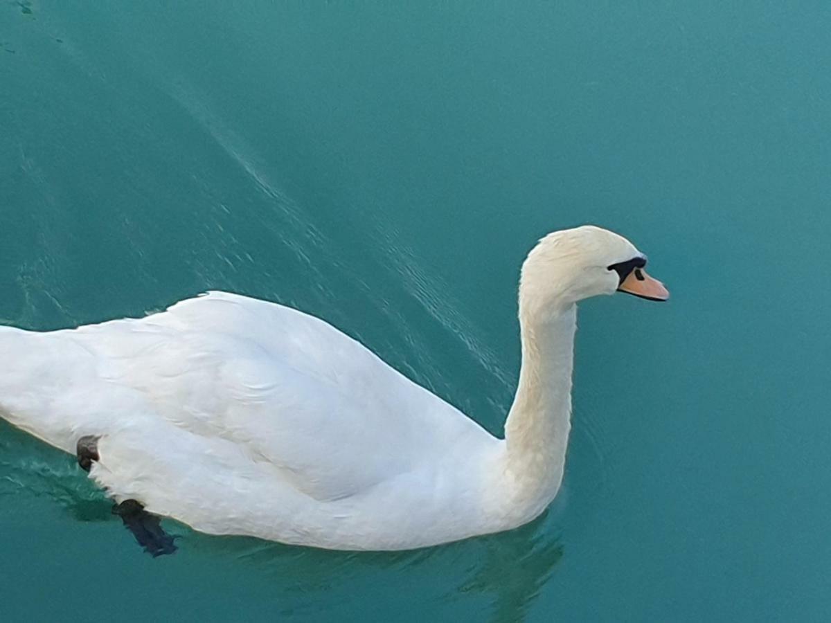Garda Felice Appartement Desenzano del Garda Buitenkant foto